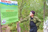и Кедр знакомый свои мне сказки говорил